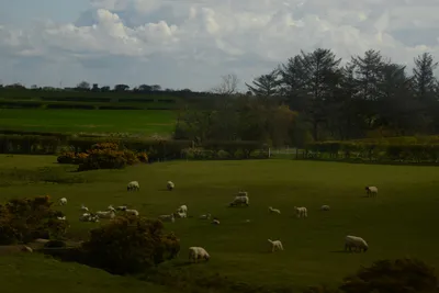 DSC_7215 (Large).JPG